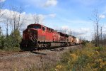 CP 8576